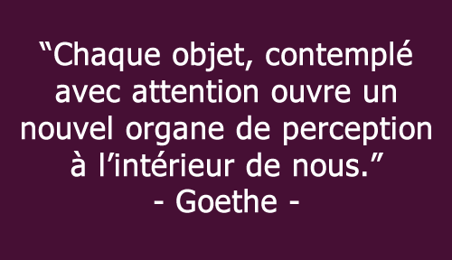 citation-coaching